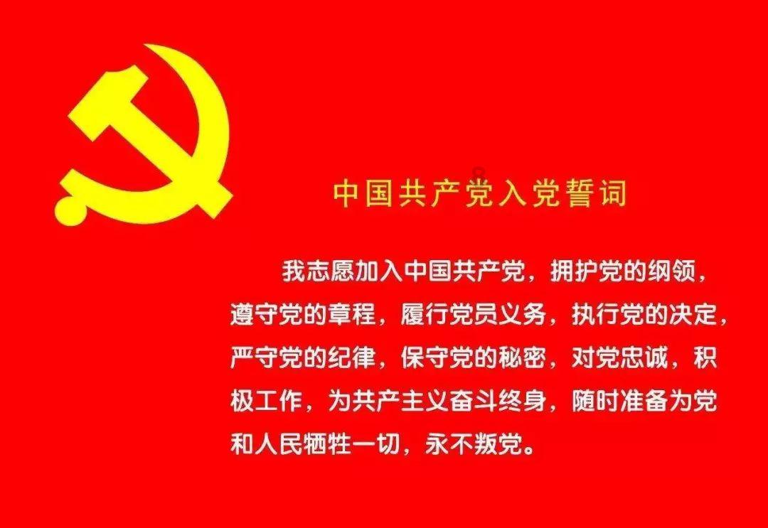 蛇蛇争霸